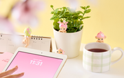 HIPPERS Cherry Blossom Series - Gift Ready