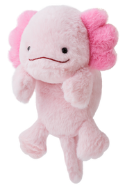 Posture Pal - Happy Pocket Choice