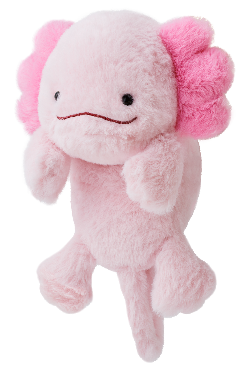 Posture Pal - Happy Pocket Choice