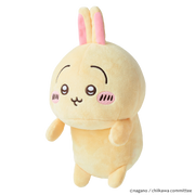 Posture Pal - CHiiKAWA - Desk Buddy