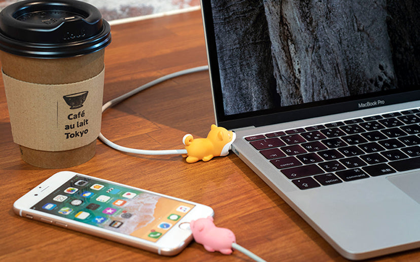 CABLE BITE for Type-C USB - Travel Gift Carry