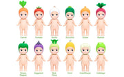 Vegetable Series - Fresh Gift Choice