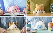 Posture Pal - Happy Pocket Choice