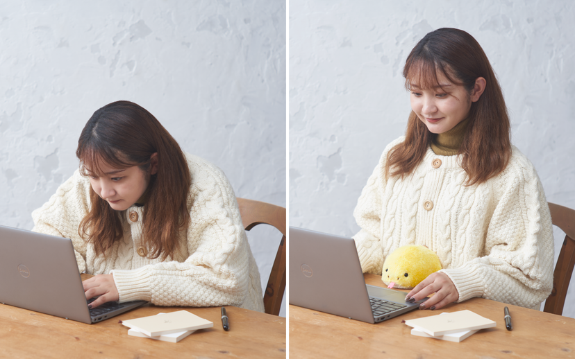 Posture Pal - Little Carry