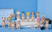 Animal 4 Series - Gift Set