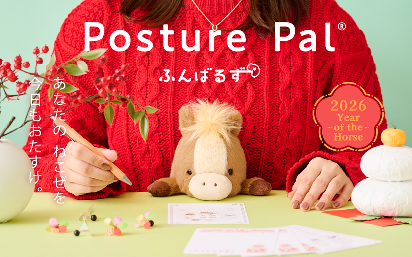 Posture Pal - Modern Travel Pick