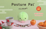 Posture Pal - Little Carry