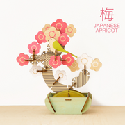 Play Plants Bonsai Puzzles - Classic Daily Buddy