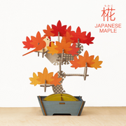 Play Plants Bonsai Puzzles - Classic Daily Buddy