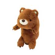Posture Pal - Happy Pocket Choice