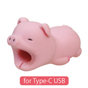 CABLE BITE for Type-C USB - Travel Gift Carry