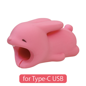 CABLE BITE for Type-C USB - Travel Gift Carry